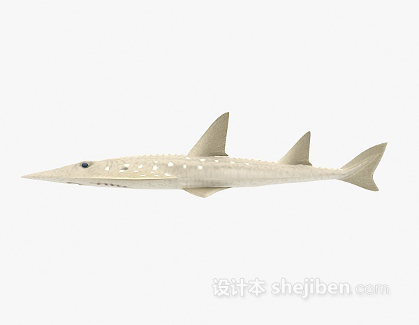 鱼模型3d下载