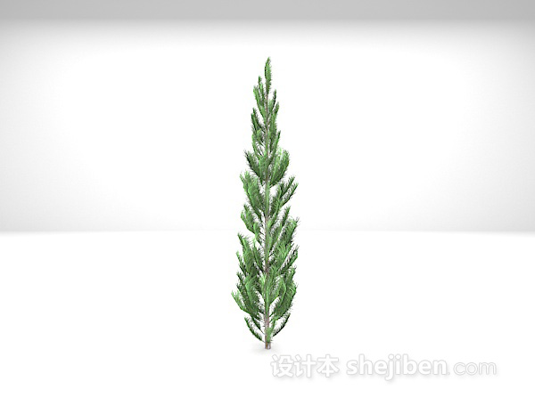 松柏植物3d模型下载