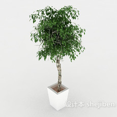 装饰性绿色盆栽3d模型下载
