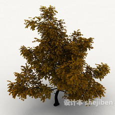 室外植物枫树3d模型下载