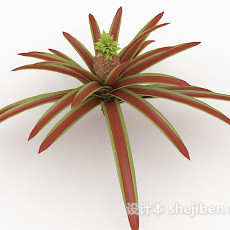 红色室外植物3d模型下载