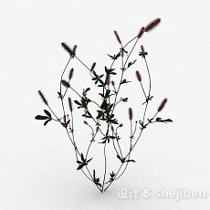 红色马尾草植物3d模型下载
