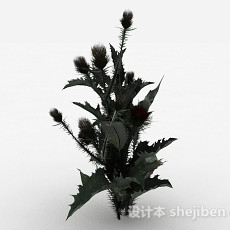 多刺叶子植物3d模型下载